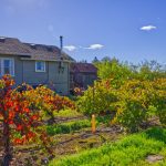 Classic Farm House Russian River Valley