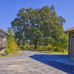 Farmhouse and barn Russian River Valley