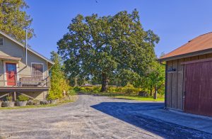 Farmhouse and barn Russian River Valley
