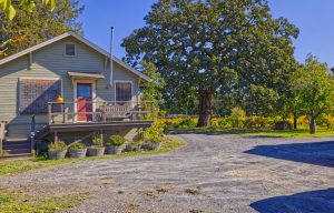 Farmhouse oak tree vineyard Sonoma County