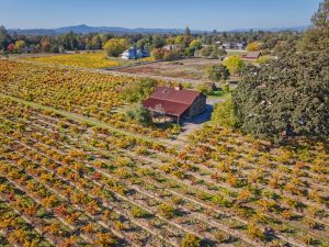 barn and old vine zinfandel Russian River Valley