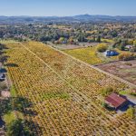 carlisle vineyard russian river valley