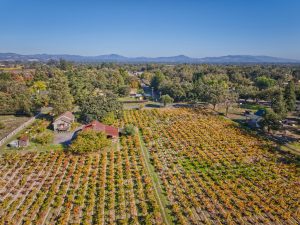 farm house vineyard Russian River Valley