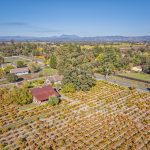west santa rosa vineyard