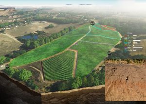 Pinot Hill Aerial Soil