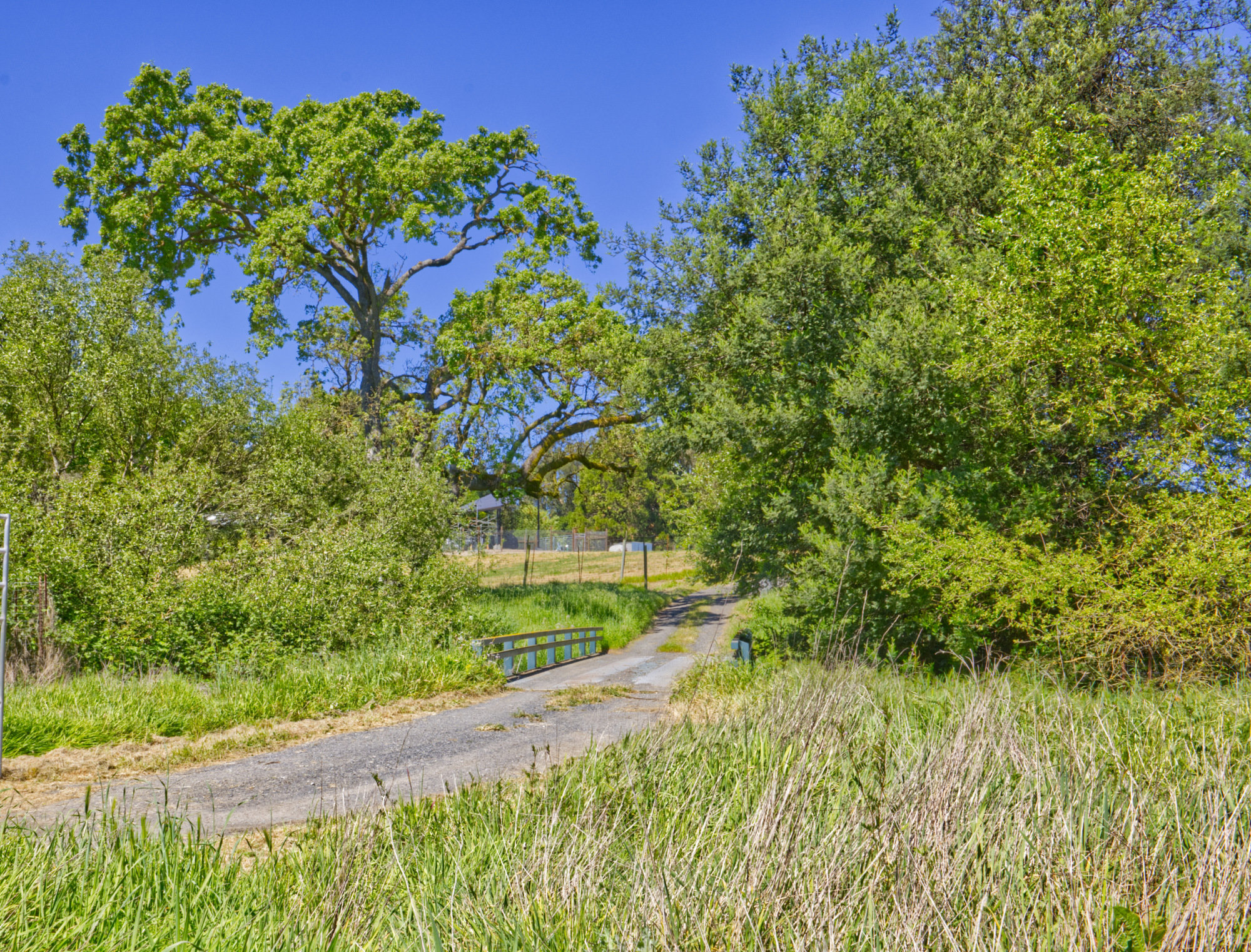 sonoma county countryside