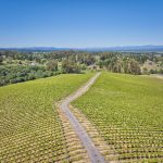 Pinot Hill east and west