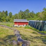 Pinot Hill out building