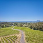 pinot hill dramatic views