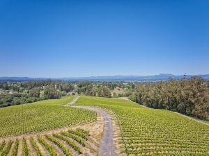 pinot hill dramatic views