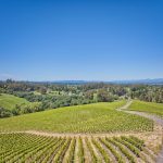 pinot hill ridge west