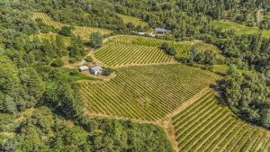 Fair Play AVA Winery and vineyard for sale