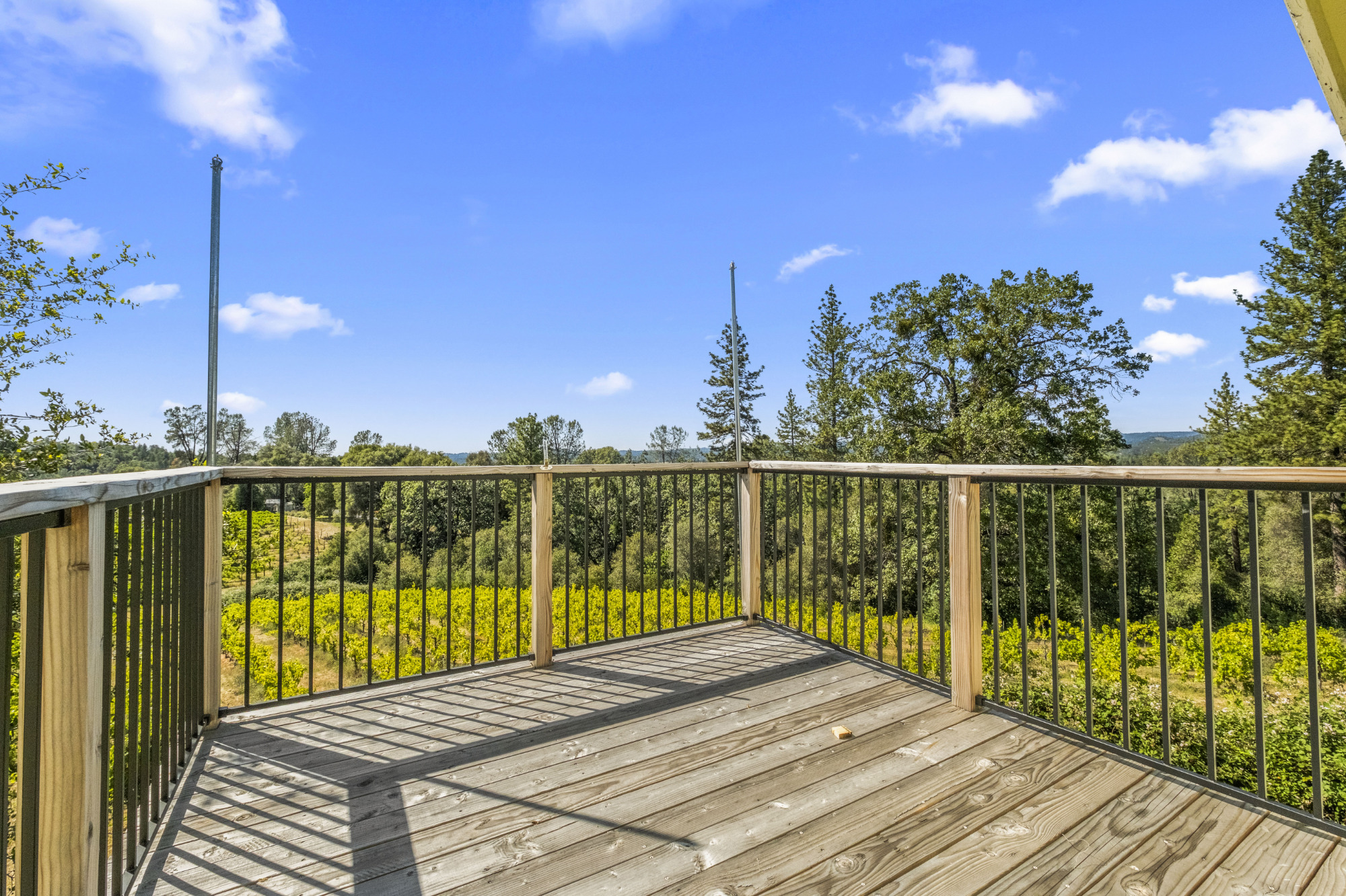 Fair Play AVA Winery and vineyard for sale