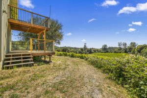 Fair Play AVA Winery and vineyard for sale