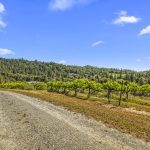 Fair Play AVA Winery and vineyard for sale