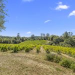 Fair Play AVA Winery and vineyard for sale