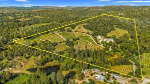 Fair Play AVA Winery and vineyard for sale