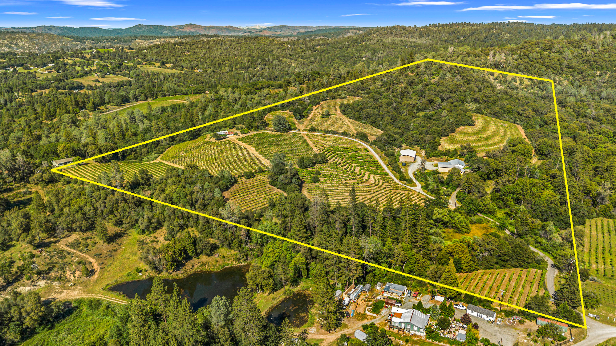 Fair Play AVA Winery and vineyard for sale