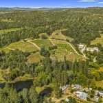 Fair Play AVA Winery and vineyard for sale