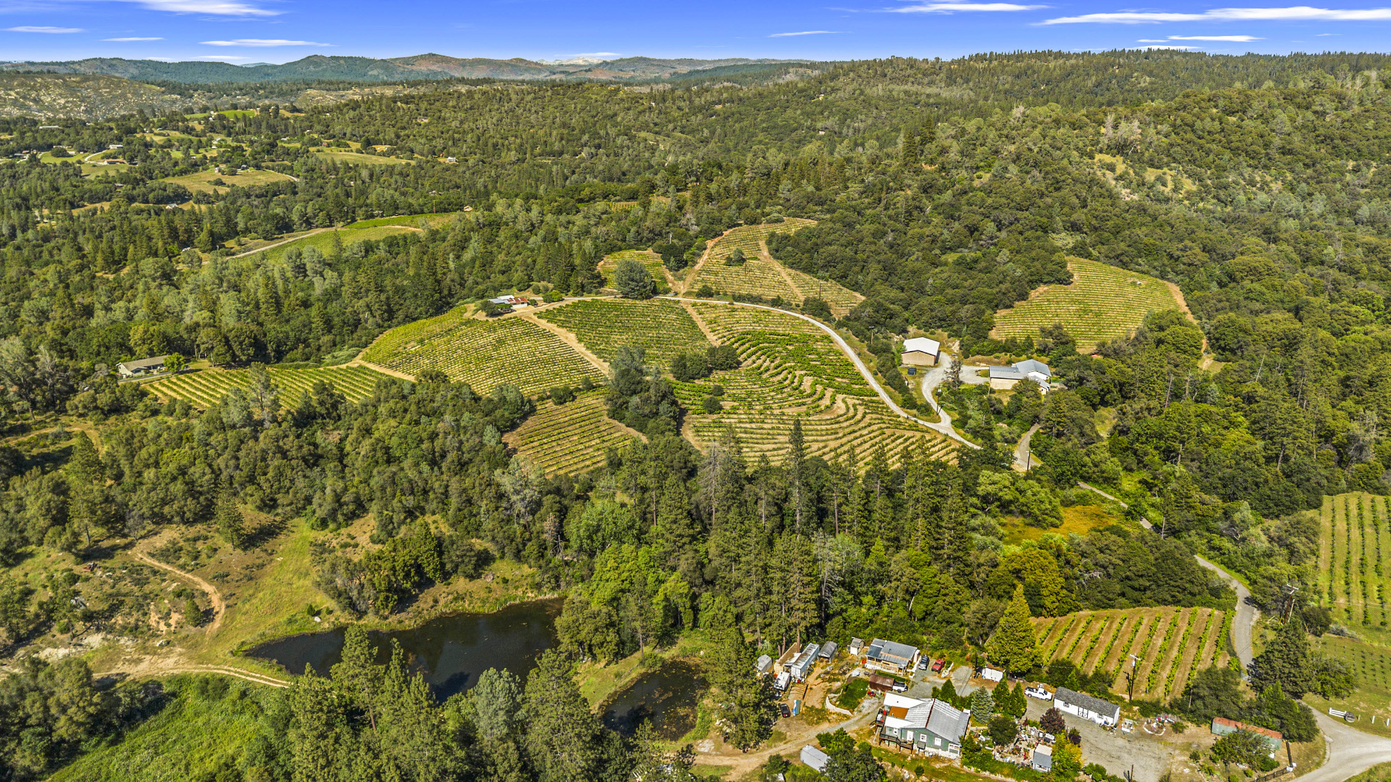 Fair Play AVA Winery and vineyard for sale