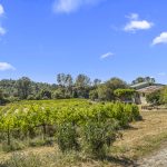 Fair Play AVA Winery and vineyard for sale