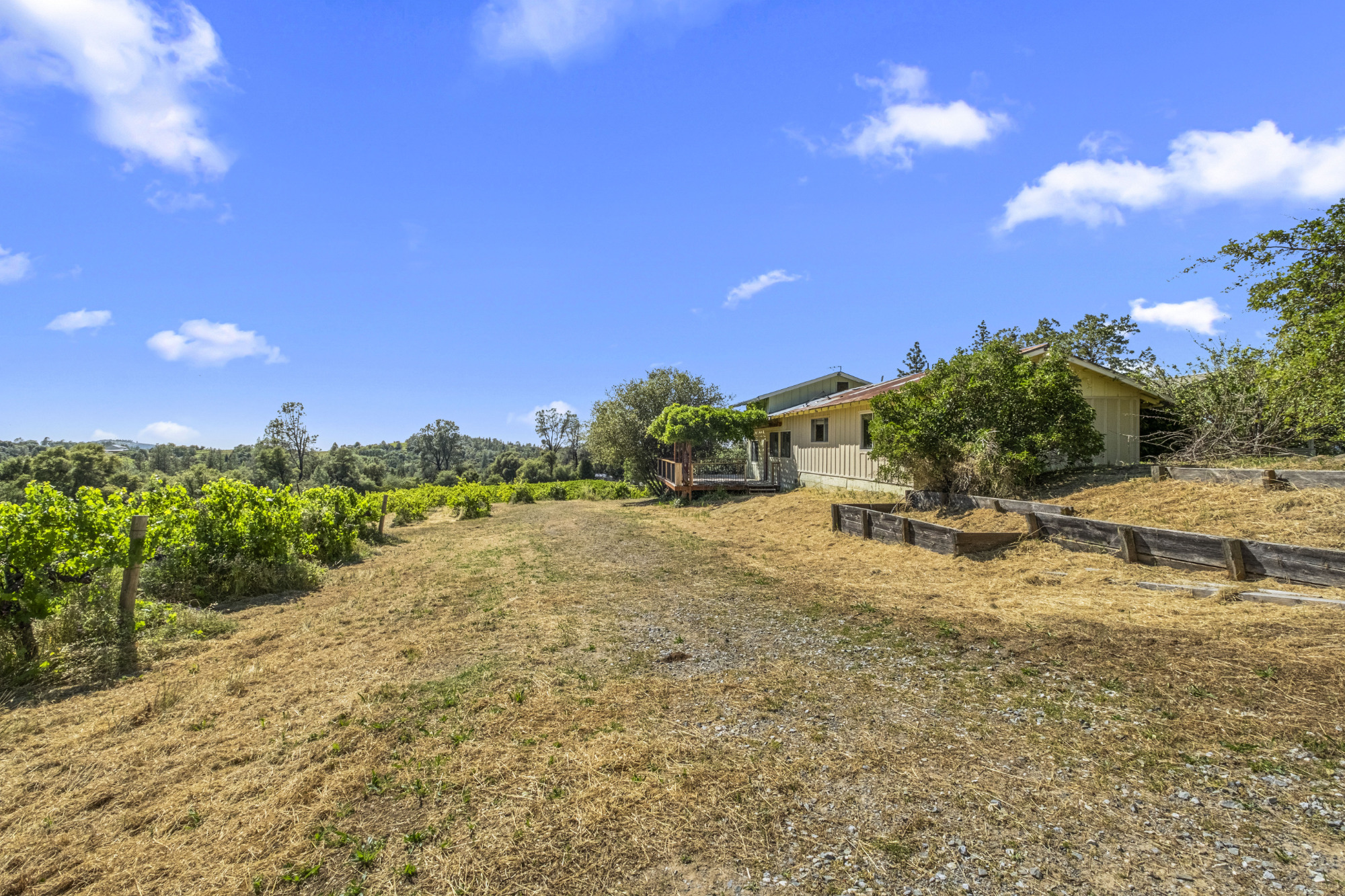 Fair Play AVA Winery and vineyard for sale