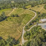 Fair Play AVA Winery and vineyard for sale