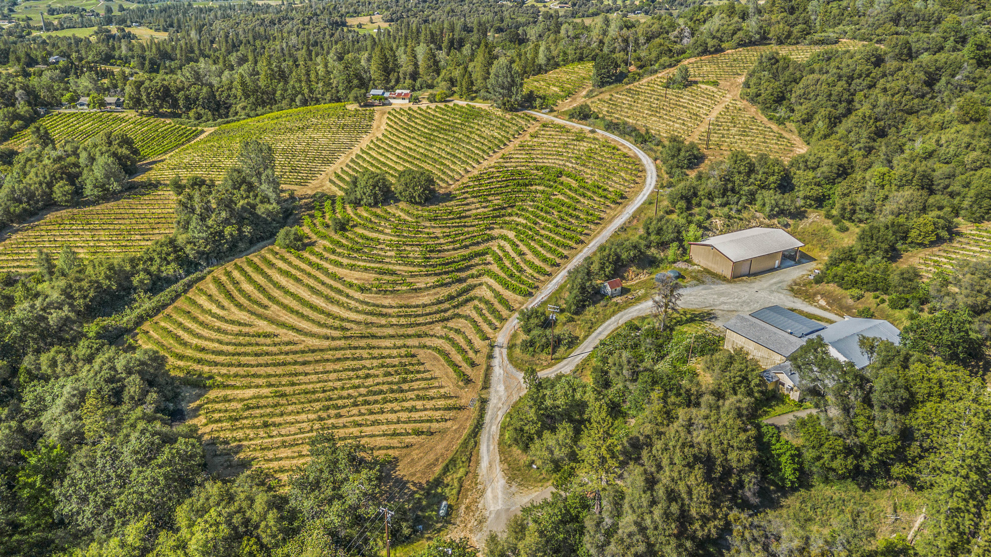 Fair Play AVA Winery and vineyard for sale
