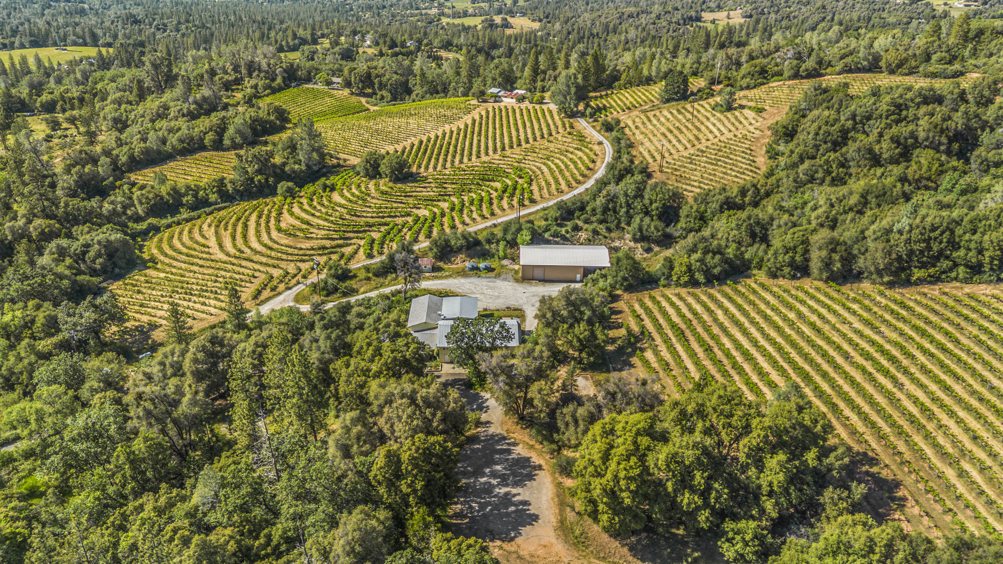 Fair Play AVA Winery and vineyard for sale