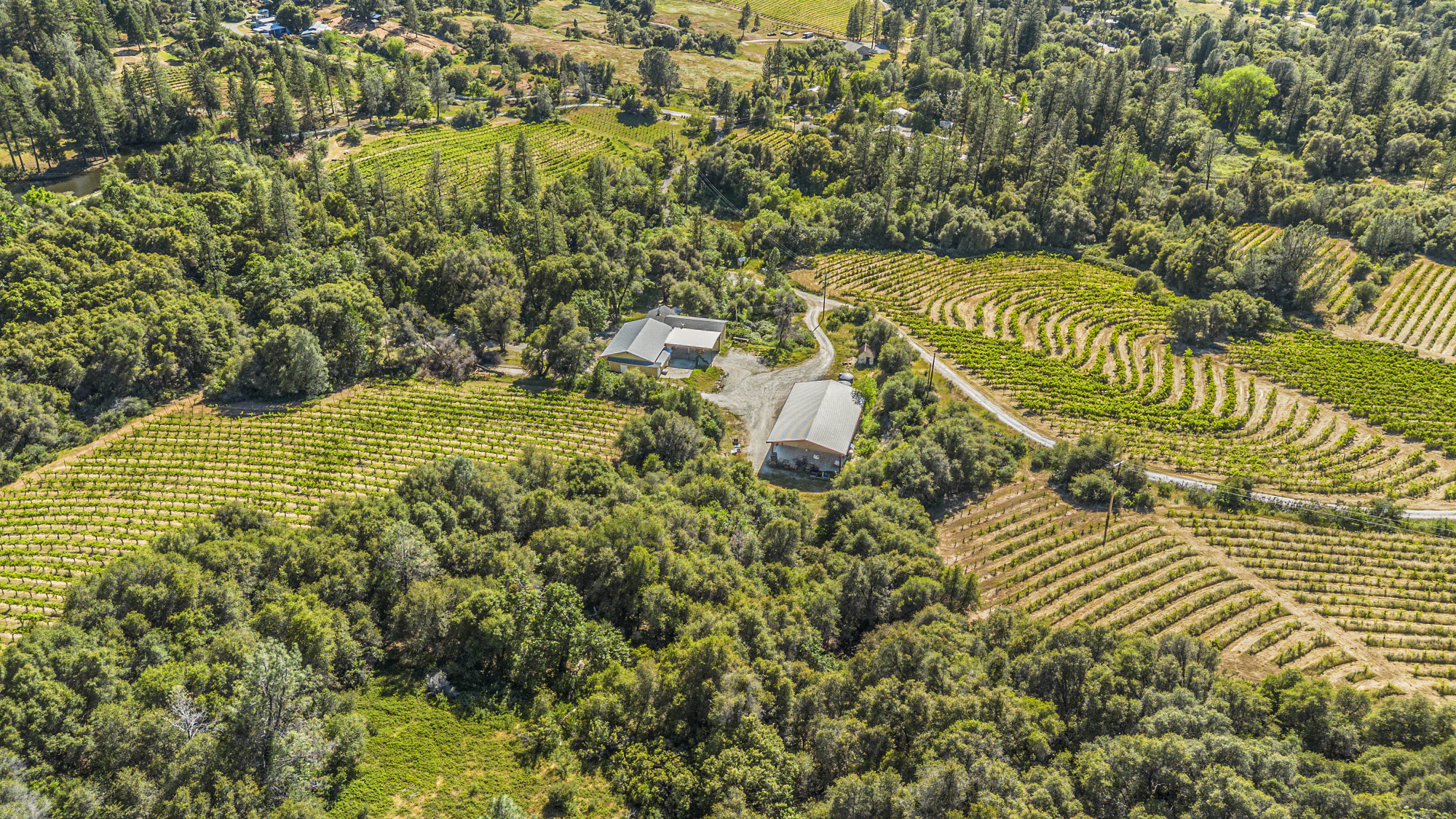 Fair Play AVA Winery and vineyard for sale