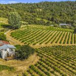 Fair Play AVA Winery and vineyard for sale