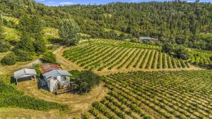 Fair Play AVA Winery and vineyard for sale