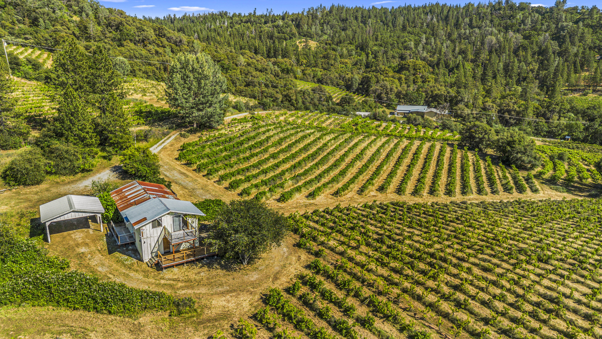Fair Play AVA Winery and vineyard for sale