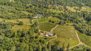 Fair Play AVA Winery and vineyard for sale