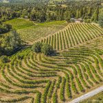 Fair Play AVA Winery and vineyard for sale