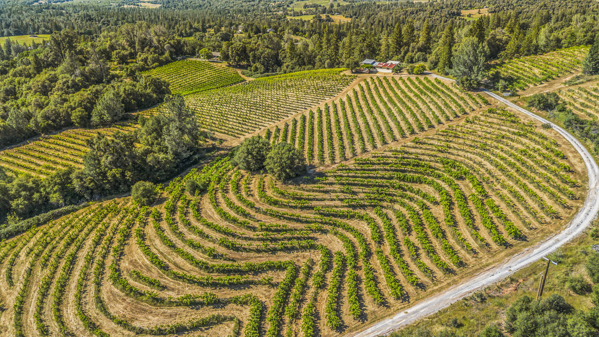 Fair Play AVA Winery and vineyard for sale
