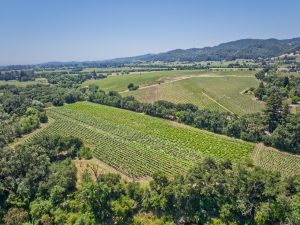 luxury napa vineyard aerial panorama
