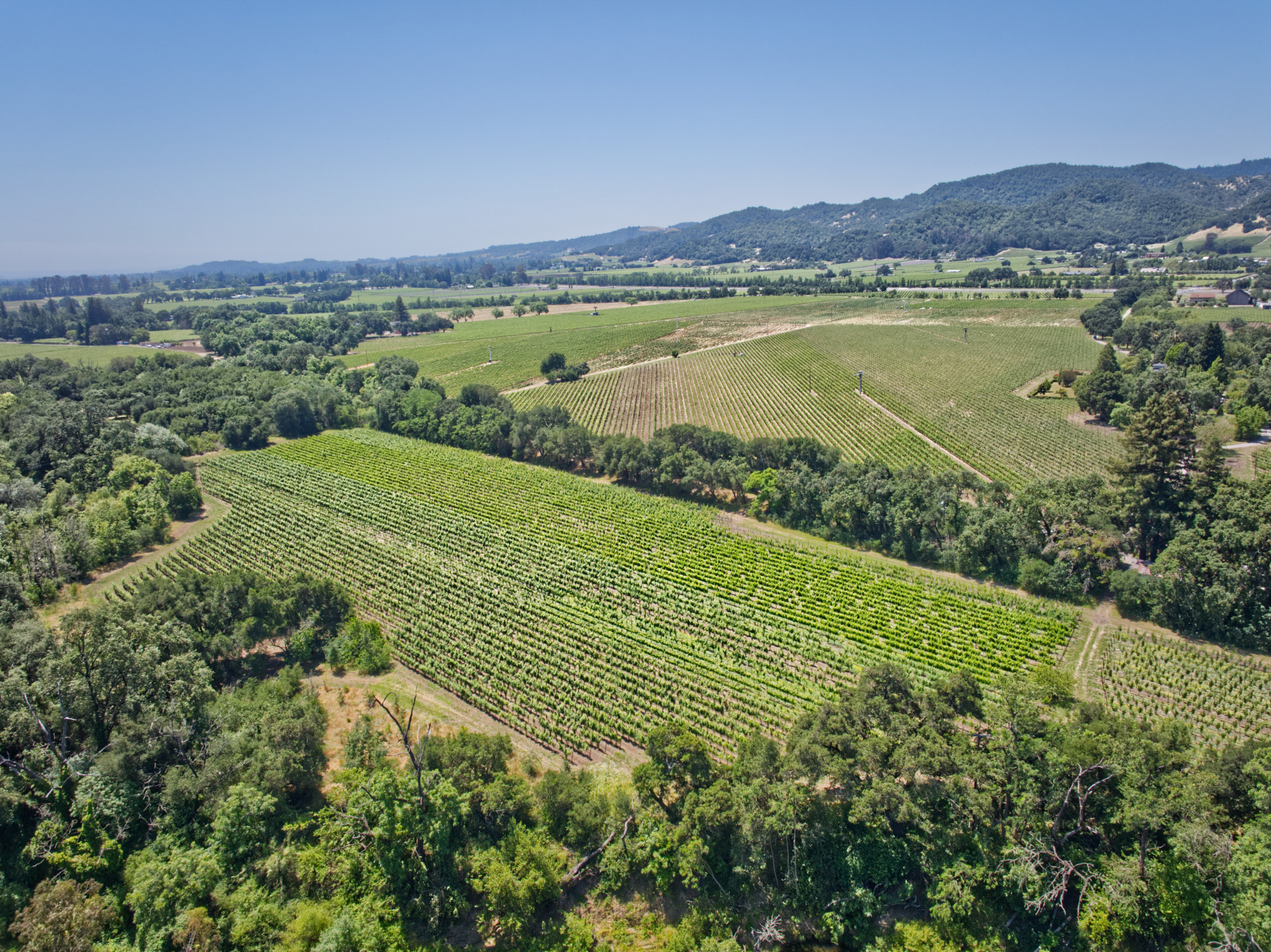 luxury napa vineyard aerial panorama