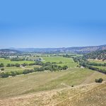 napa valley premium vineyard drone landscape