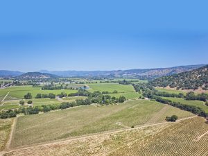 napa valley premium vineyard drone landscape