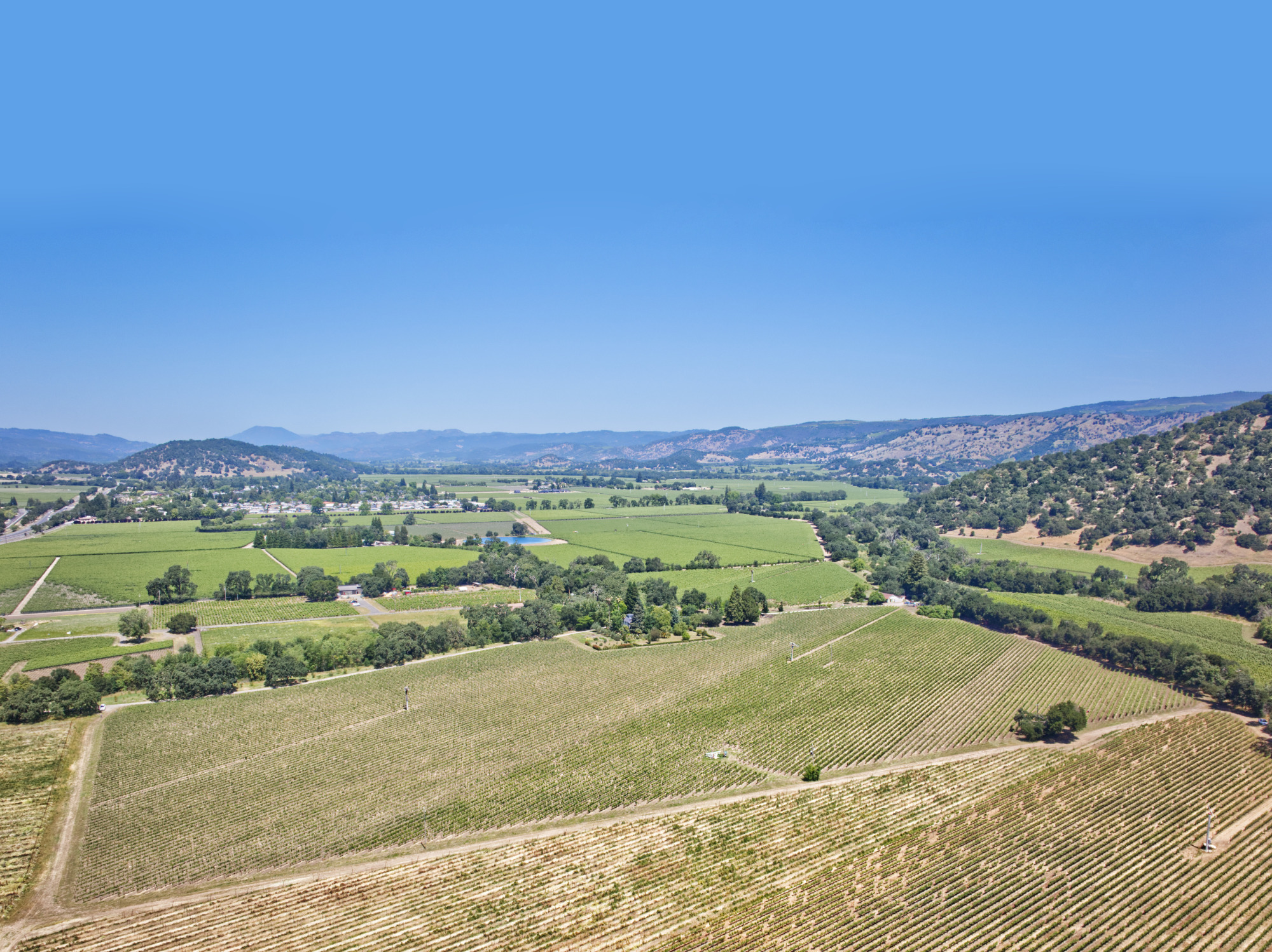 napa valley premium vineyard drone landscape
