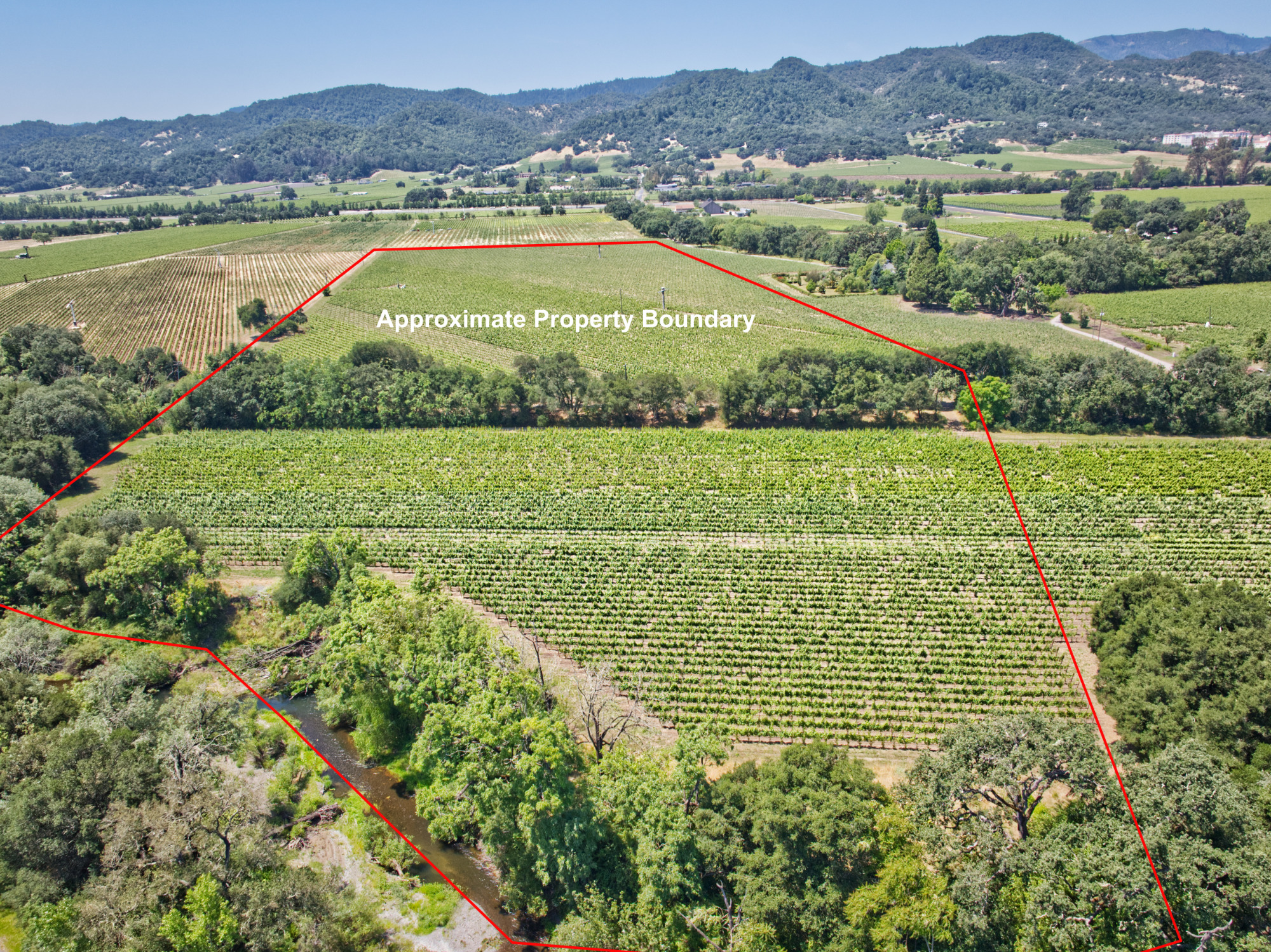 premium vineyard property napa county aerial Approximate Property Boundary