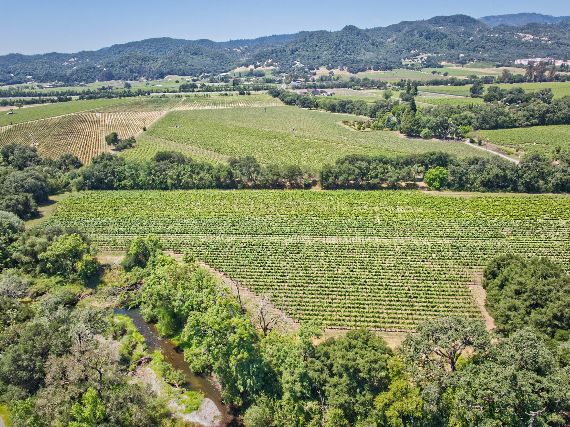 premium vineyard property napa county aerial