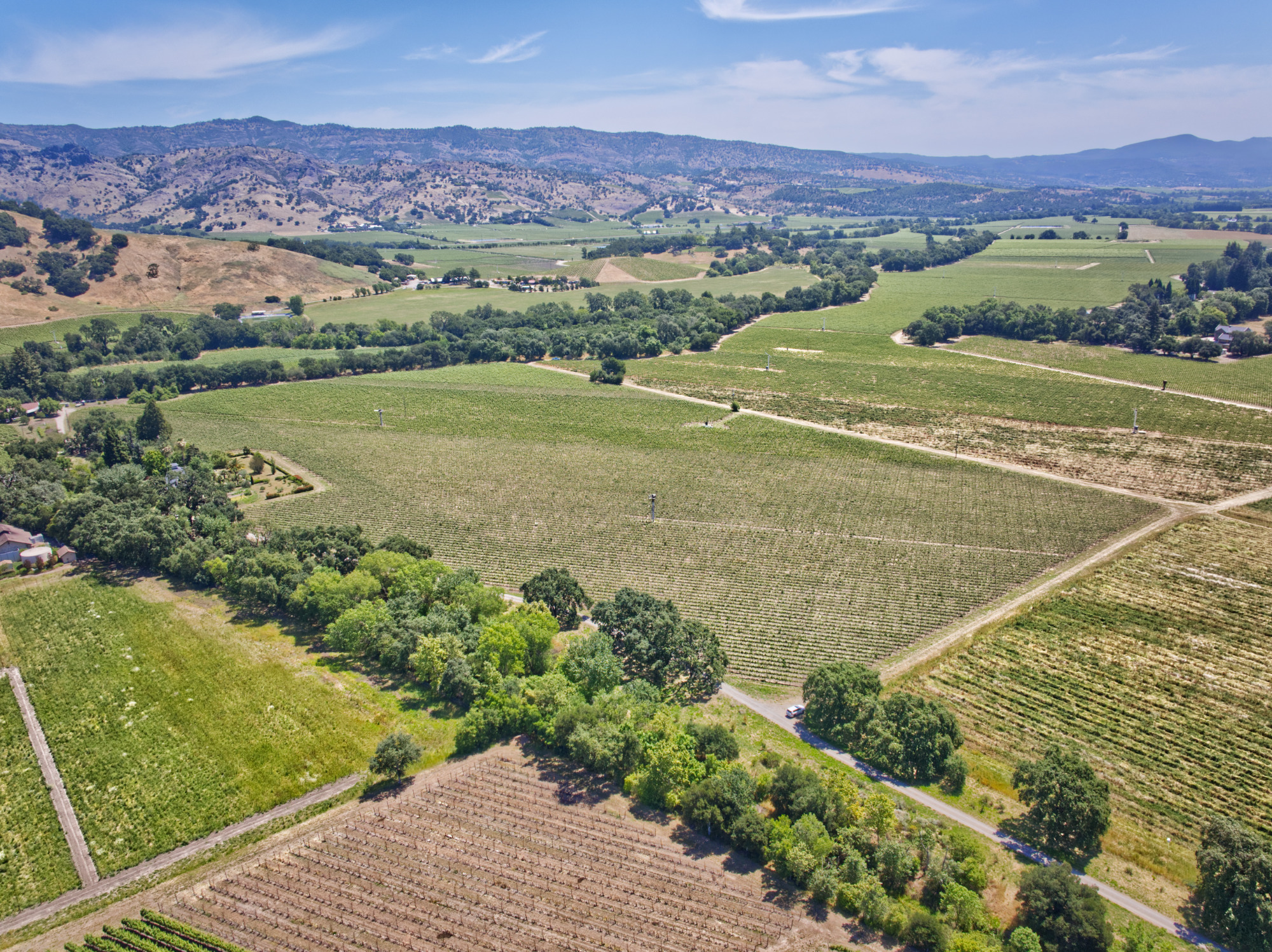 premium vineyard real estate napa valley