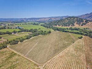premium yountville ava vineyard real estate