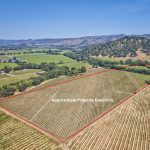premium yountville ava vineyard real estate Approximate Property Boundary