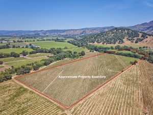 premium yountville ava vineyard real estate Approximate Property Boundary