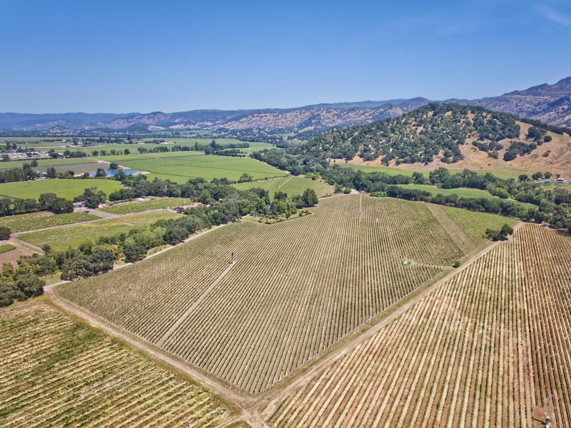 premium yountville ava vineyard real estate