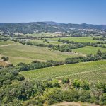 premium yountville vineyard property overview