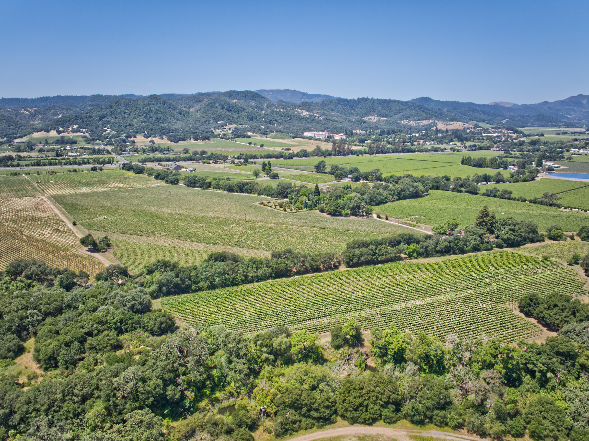 premium yountville vineyard property overview